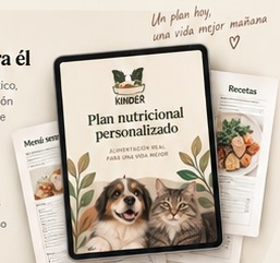 Ejemplo de plan nutricional personalizado